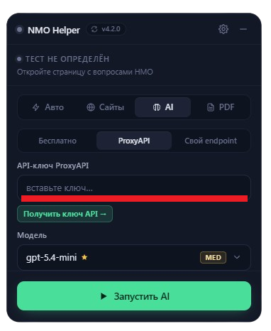 Поле для ввода API-ключа ProxyAPI в NMO Helper